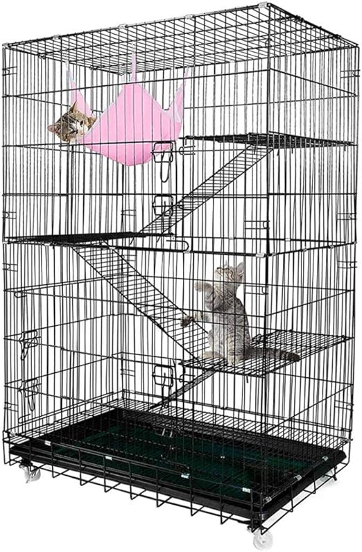cat big cage