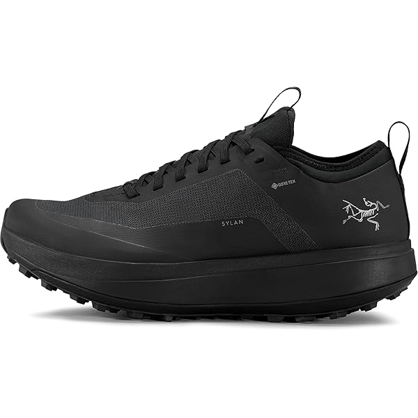 arcterx アークテリクス Norvan LD3 Amazon.com | Arc'teryx Norvan LD 3 GTX Shoe Women's | Long