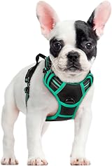 rabbitgoo Dog Harness Small No Pull Reflective Adjustable Vest Black Mintgreen