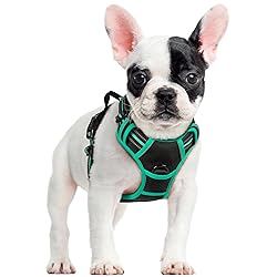 rabbitgoo Dog Harness, No-Pull Pet Harness with 2