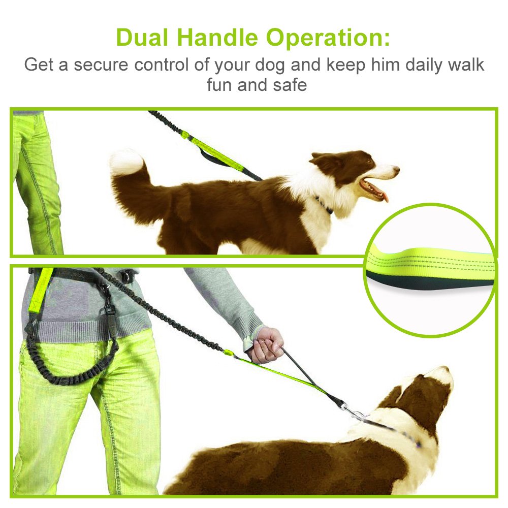 Roadwi Hands Free Dog Leash, Dual Handle Bungee Leash for Shock Absorbing, Adjustable Waist Belt with Storage Bag for Running, Hiking, Jogging or Walking (Green)
