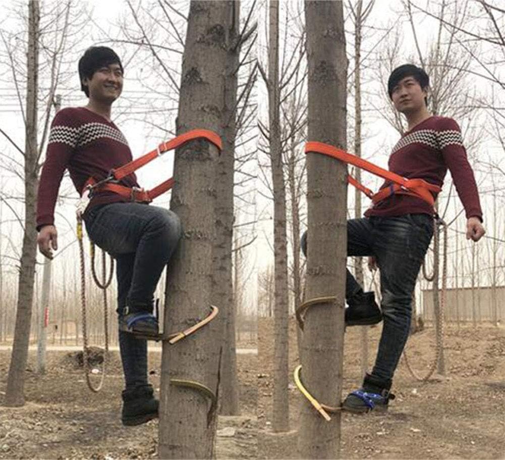 RENHAN Pole Climbing Spikes,Climbing Trees Artifact Electrician Wooden Pole Foot Buckle,Thicken Climbing Trees Tool,for Hunting Observation, Picking Fruit, Coconut, Simple to Use.