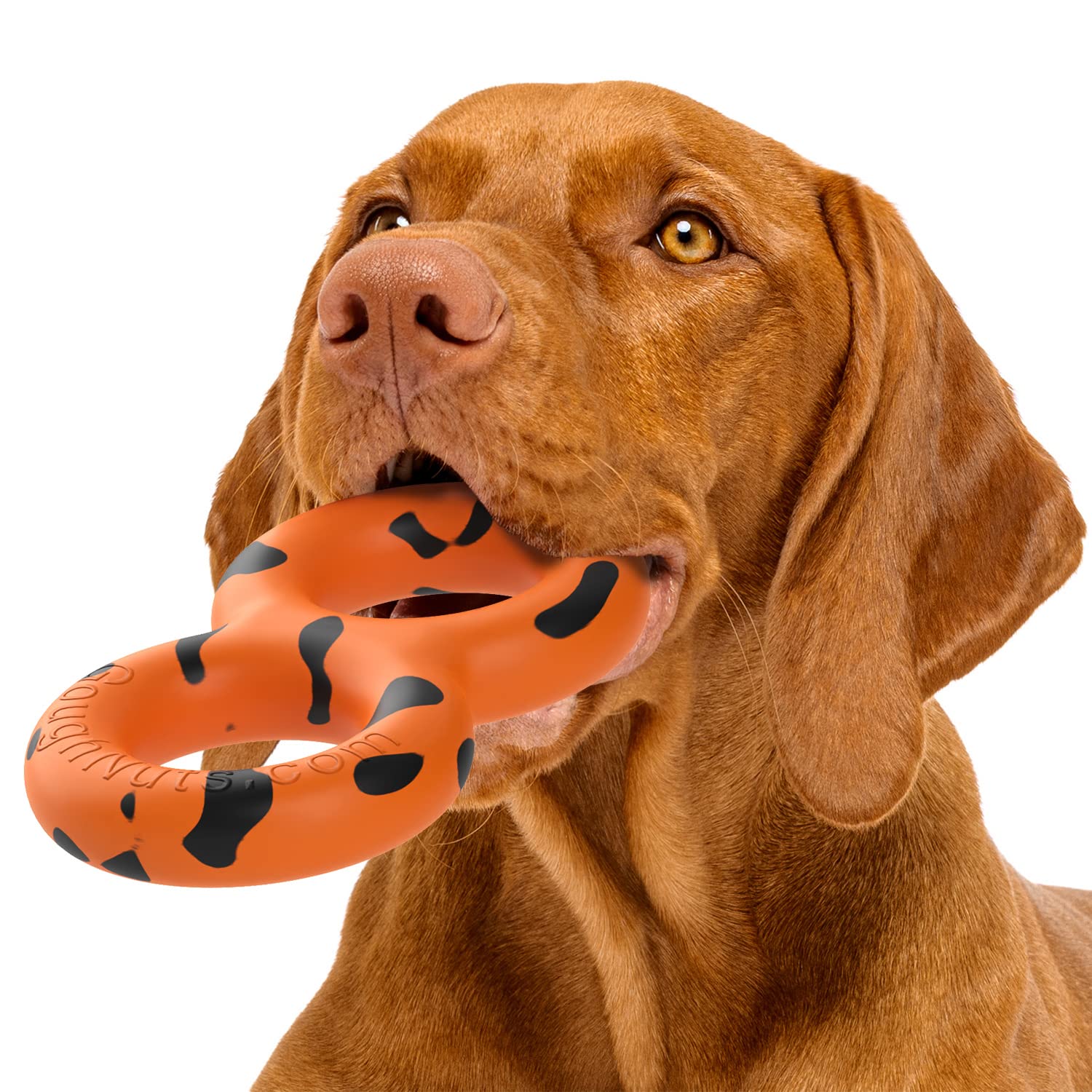 Goughnuts - Virtually Indestructible Dog Pull Toy, Durable and Guaranteed for Tug of War with Medium and Large Dogs - Rubber for Aggressive Power Chewers Like Pit Bulls, Labs, and German Shepherds