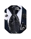 DiBanGu Mens Tie and Lapel Pin Set Silk Plaid Solid