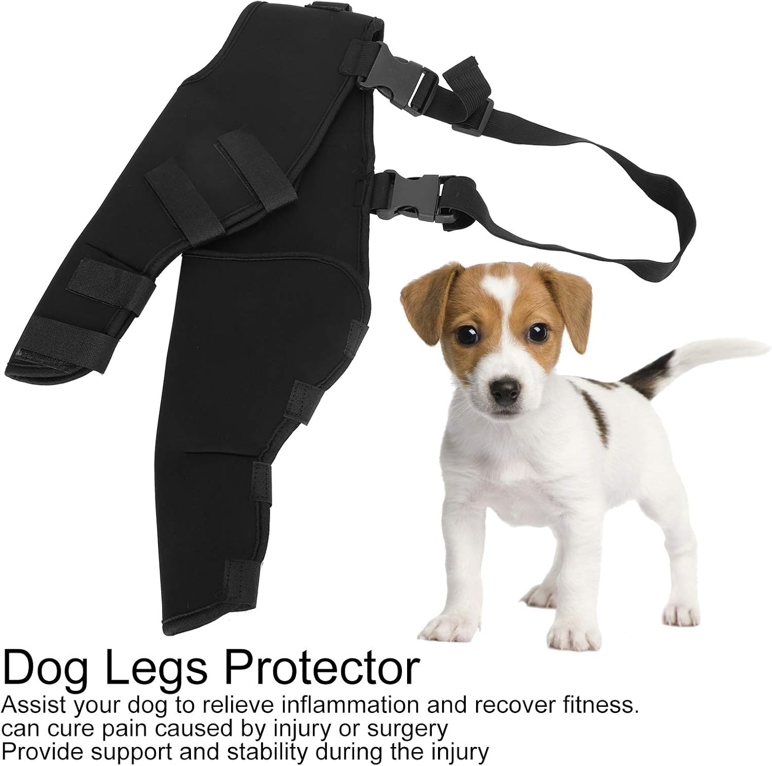 Pet Dog Hind Legs Protector - Image 5