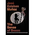 The Sense of Brown (Perverse Modernities: A Series Edited by Jack Halberstam and Lisa Lowe)
