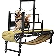 PawPaw's Large & Medium Dog Treadmill - Indoor & Outdoor Use, Up to 220 lbs, Slatmill Design with Brake