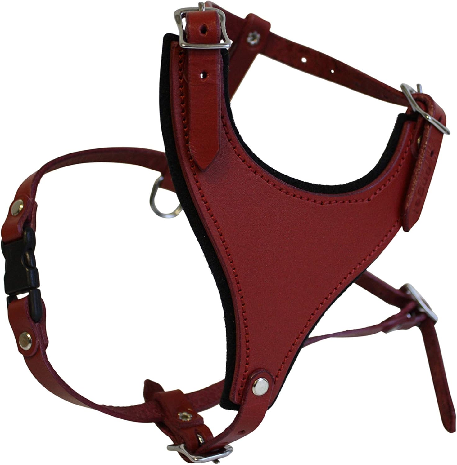 leather puppy harness