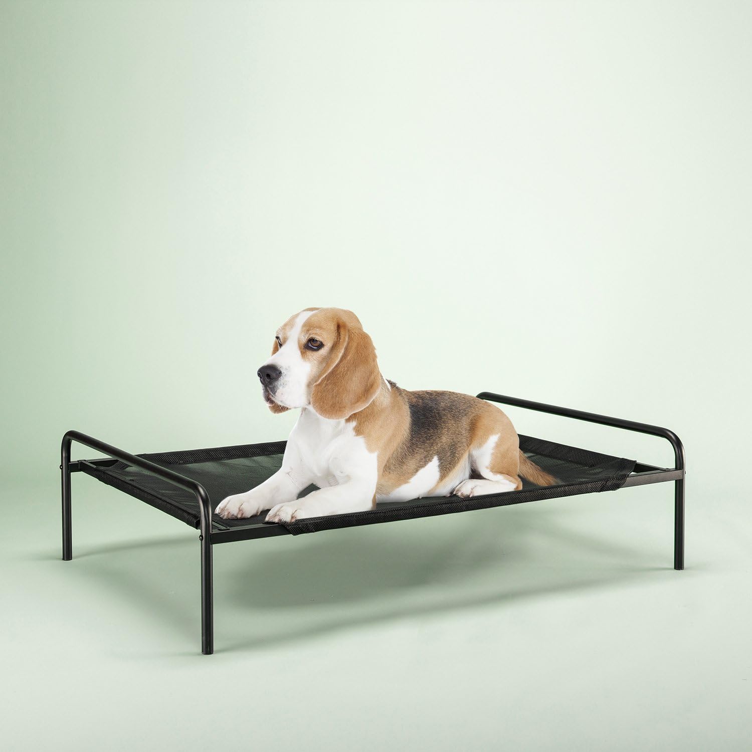 Best Zinus Metal Framed Canopy Four Poster Platform Bed Frame California King