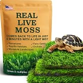 LUCKYRUNES Live Moss 3-Pack for Reptile Enclosures &amp; Terrariums,Fresh Reptiles Substrate