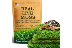 Live Moss Variety Pack for Reptiles– 3-Pack Mixed Real Terrarium Mosses (Each 3.5" x 7") – Live Sheet/Sphagnum Moss for Snake