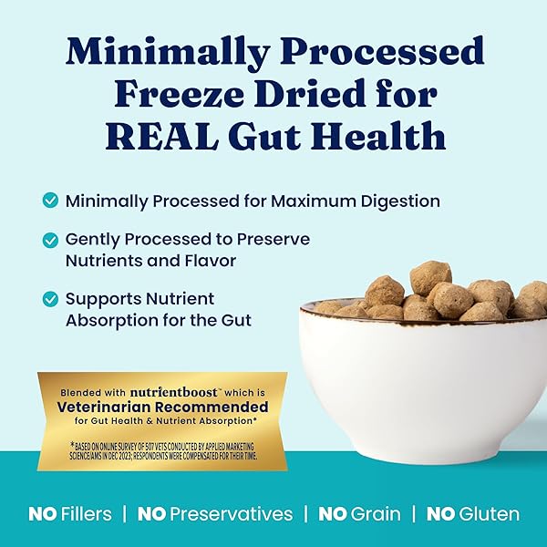 SOLID GOLD FREEZE DRIED DOG FOOD – W/REAL BEEF, PUMPKIN & SUPERFOODS – FREEZE DRIED RAW DOG FOOD TOPPERS FOR PICKY EATERS TO SERVE AS A NUTRIENT-DENSE MEAL TOPPER OR HIGH PROTEIN TREATS – 1.5OZ