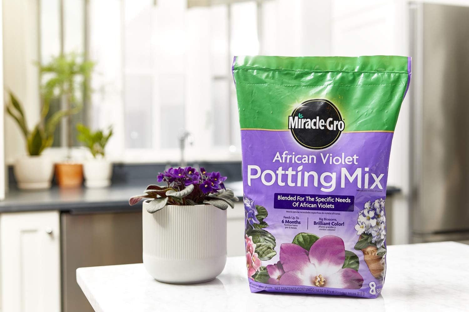 Miracle Gro African Violet Potting Mix 8 Qt Amazon Co Uk Garden Outdoors