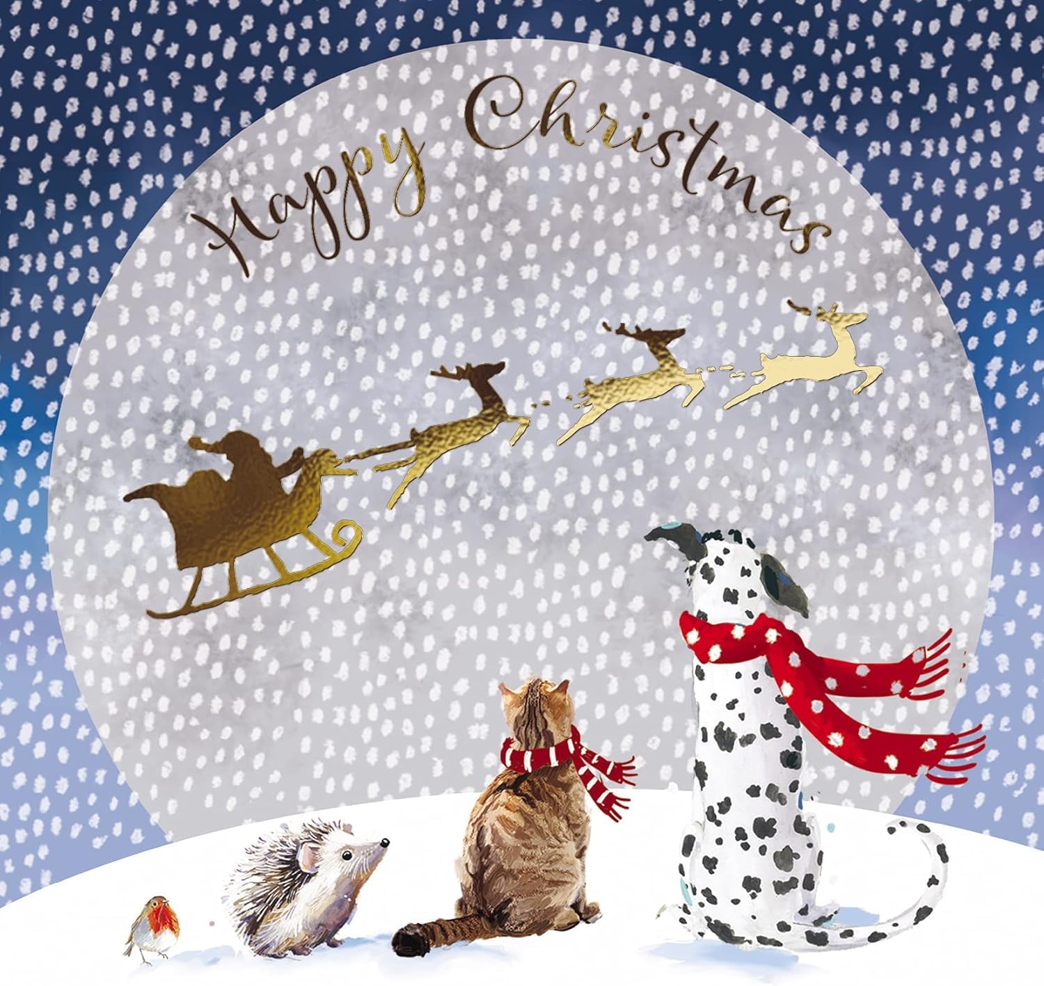 GBCC Charity Christmas Cards Pack of 6 - Charity Christmas Cards with Animals and Santa in the Sky - Eco-Friendly Xmas Cards Multipack with Envelopes