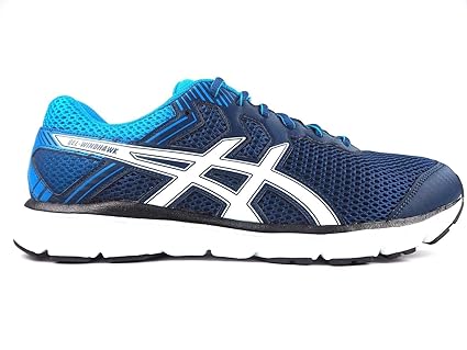 asics windhawk 2