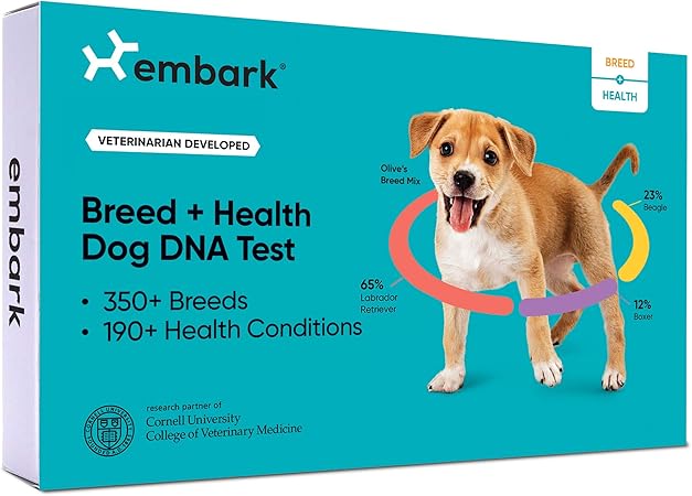 best rated vet near me