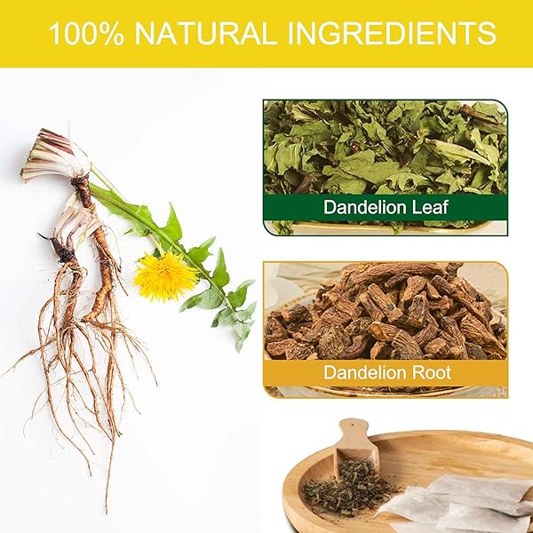 DANDELION LEAF & ROOT TEA BAGS, 40 TEABAGS – NATURAL DANDELION TEA FOR LIVER & KIDNEY HEALTH – NON-GMO – CAFFEINE-FREE – SUPPORT DIGESTION & BOOST IMMUNE SYSTEM