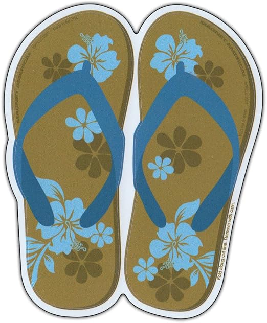 hawaiian flip flops