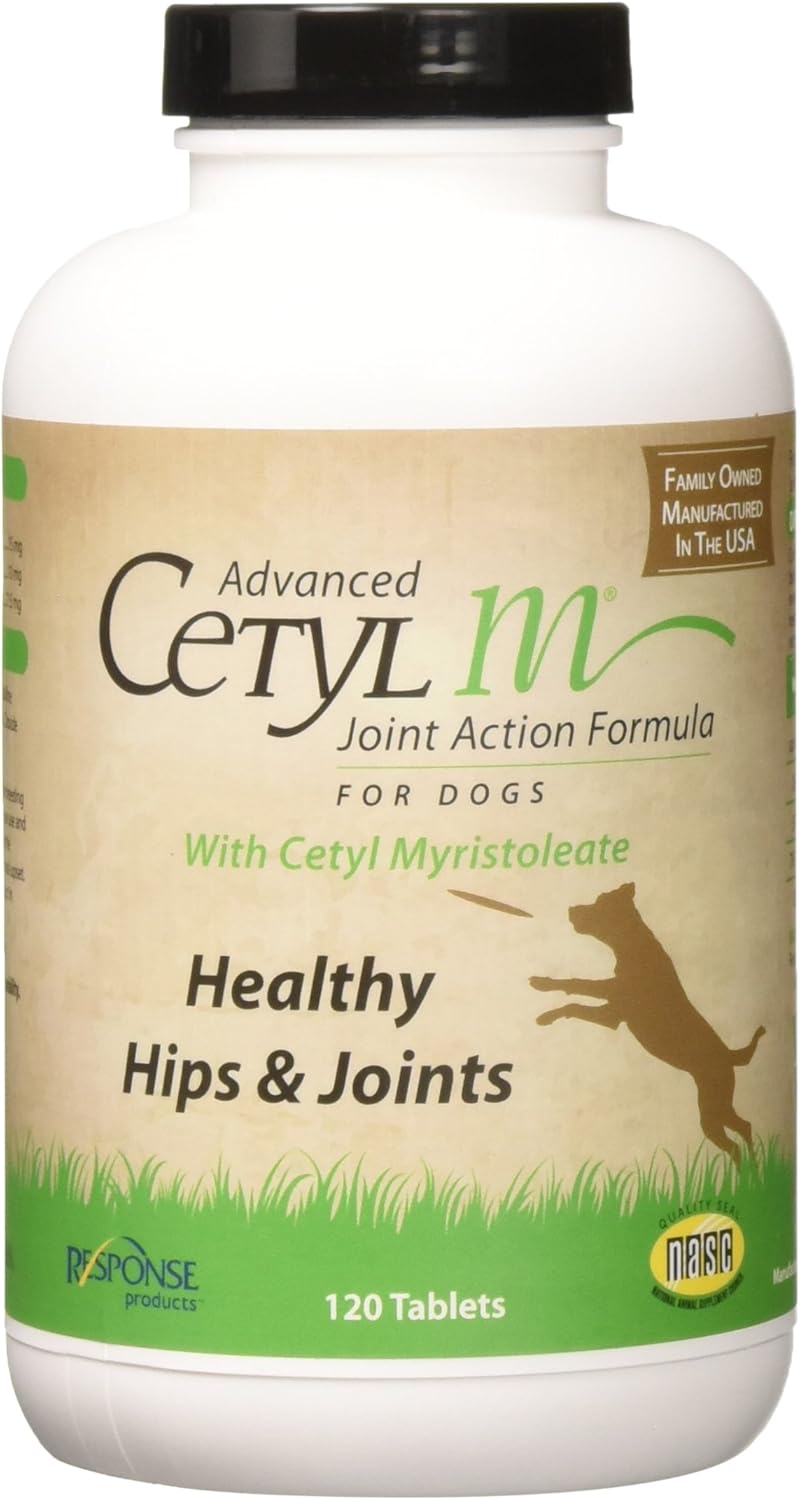 gray and white puppy