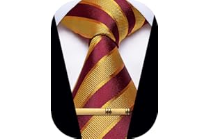 YourTies Men's Neckties Striped Tie and Plaid Neckties for Men Woven Silk Tie Gold Tie Clip Set