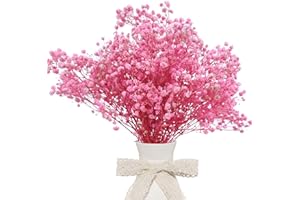 CoolCrafts Dried Babys Breath Bulk Natural Dried Gypsophila Flowers Pink Babys Breath Stems for Home Decor, Weddings, Crafts
