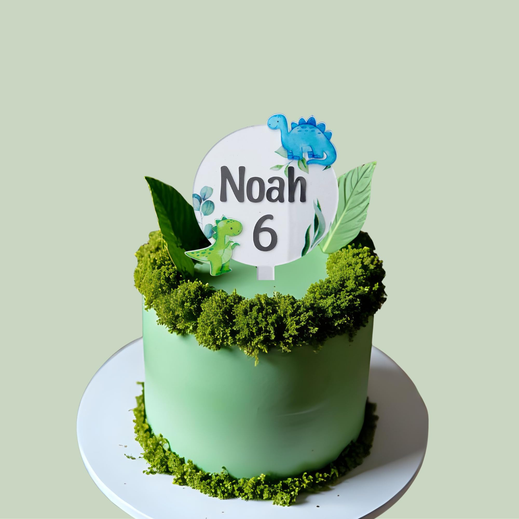 Personalised round 10cm Acrylic cake topper letters sticker sheets love heart fashion, jungle dinosaurs, woodland fox, best mum rocket space leopard pattern disco (Jungle dinosaur)