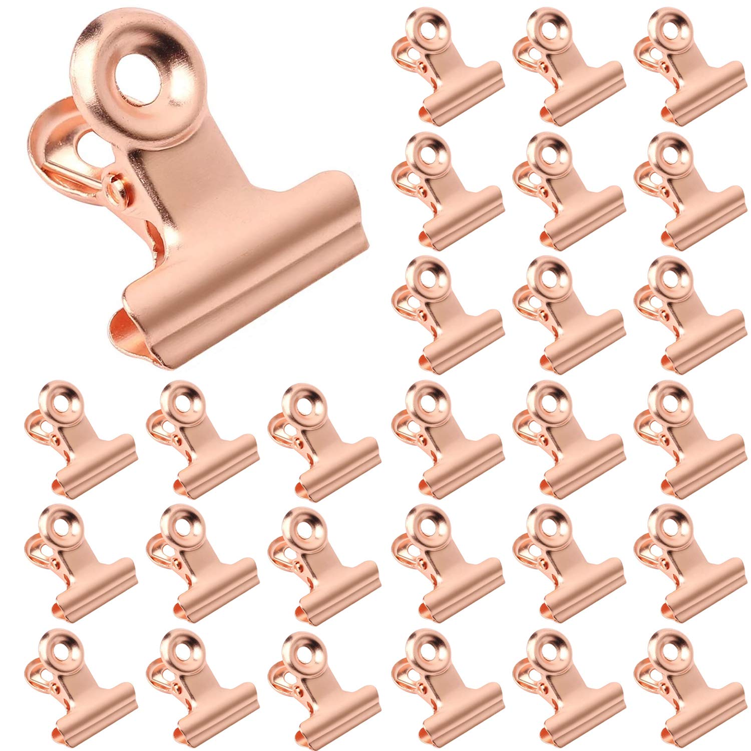 pengxiaomei 30 Pcs Small Hinge Clips, 1 Inch Binder Clip Stainless Paper Clamp for Photo File Home Office, Rose Gold