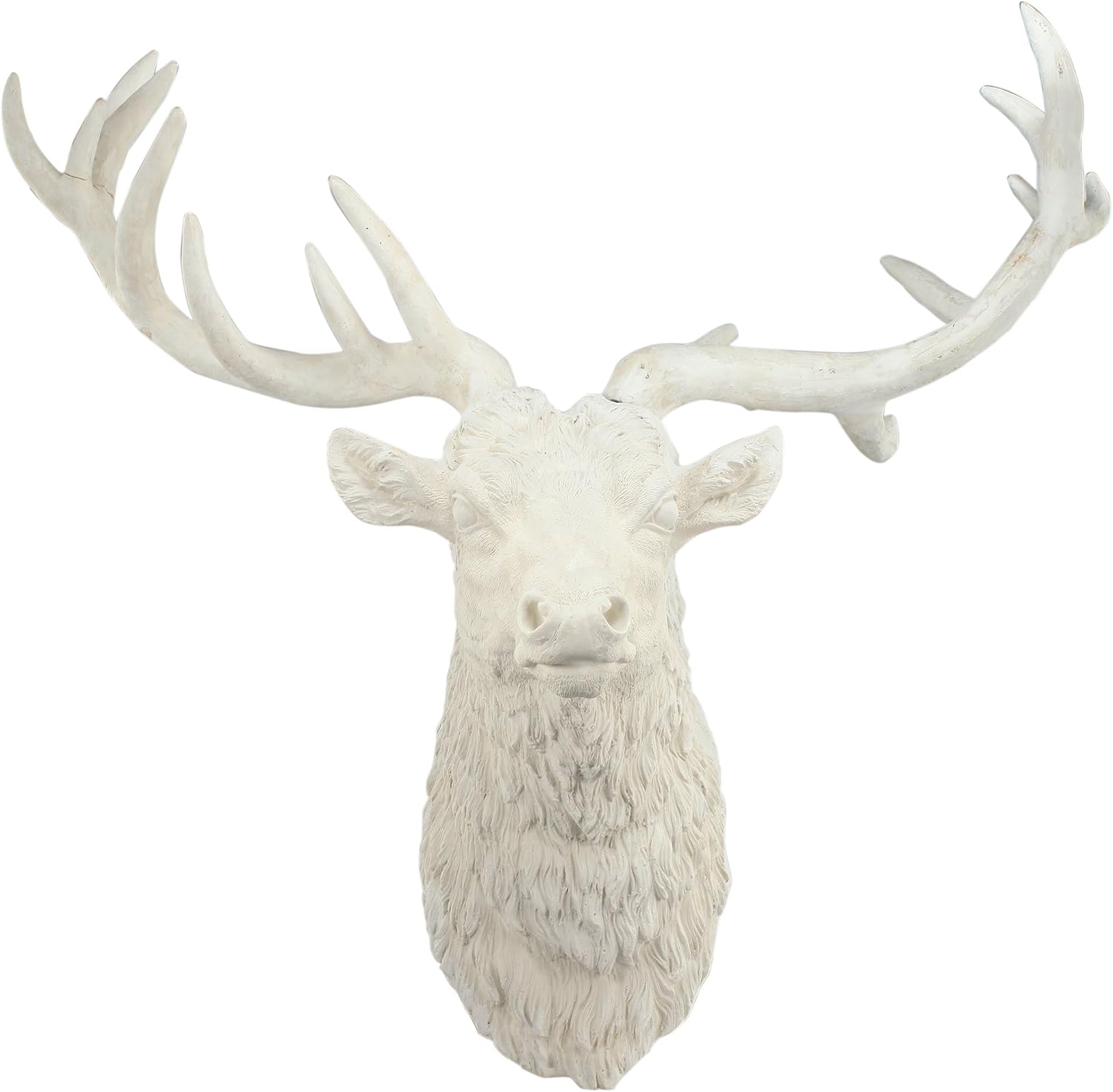 Which Is The Best Darby Home Wall Decor