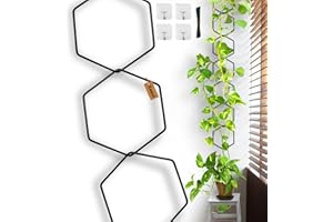 Xeeol 18 Pcs Chain Trellis for Climbing Plants, 7.5(ft) L Wall Plant Trellis Indoor, Pothos Plant Climber Support for Ivy Hoya Flower, Hexagons