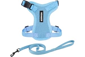 Voyager Escape-Proof Step-in Lock Cat Harness & 5ft Neoprene-Handle Leash Set All-Weather Mesh with Reflective Stitching for Small to Large Cats by Best Pet Supplies, Baby Blue, XS