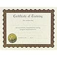 Great Papers! Training Certificate, Pre-Printed Gold Foil and Embossed, Certificate of Completion, for Awards and Achievements, 8.5”x11”, 6 Sheet Pack (930300)