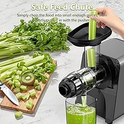 Slow Juicer Carrot Ginger, 250W Cold Press Juicer
