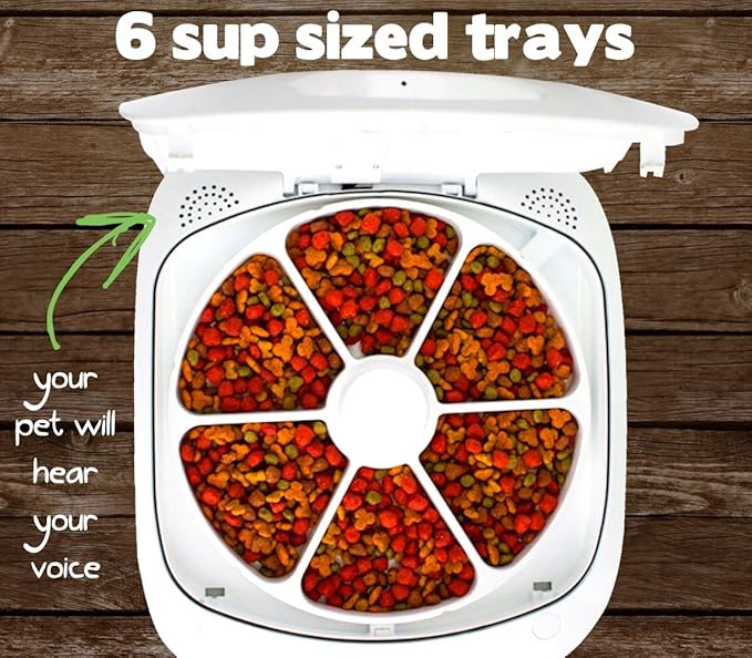 feed and go smart pet feeder