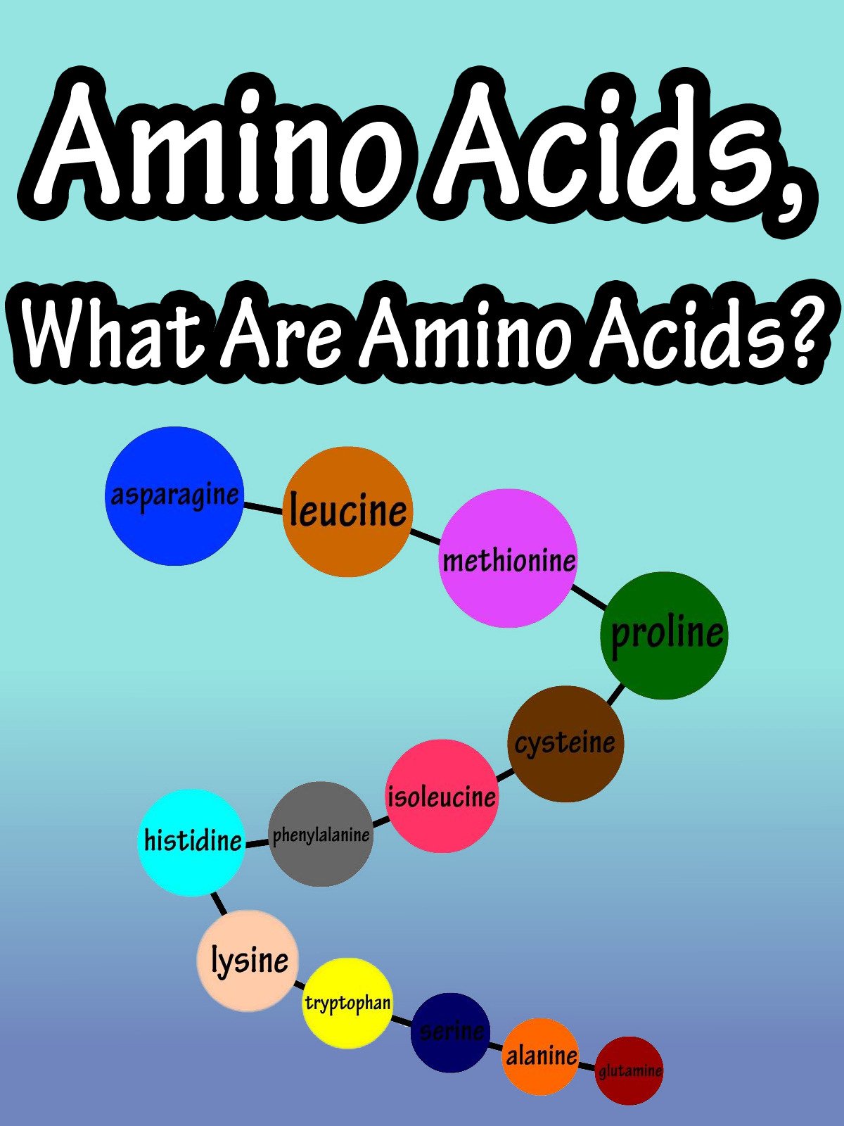 Watch Amino Acids, What Are Amino Acids? Prime Video