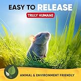 Motel Mouse Humane Mouse Traps Indoor Outdoor No Touch Release Reusable view 5