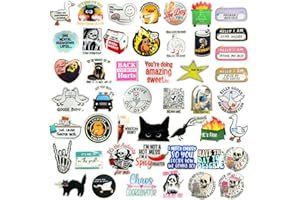 Funny Stickers Small Humor Waterproof Sticker Bulk Pack Meme Inappropriate Sarcastic Weird Crazy for Adult Laptop Water Bottl