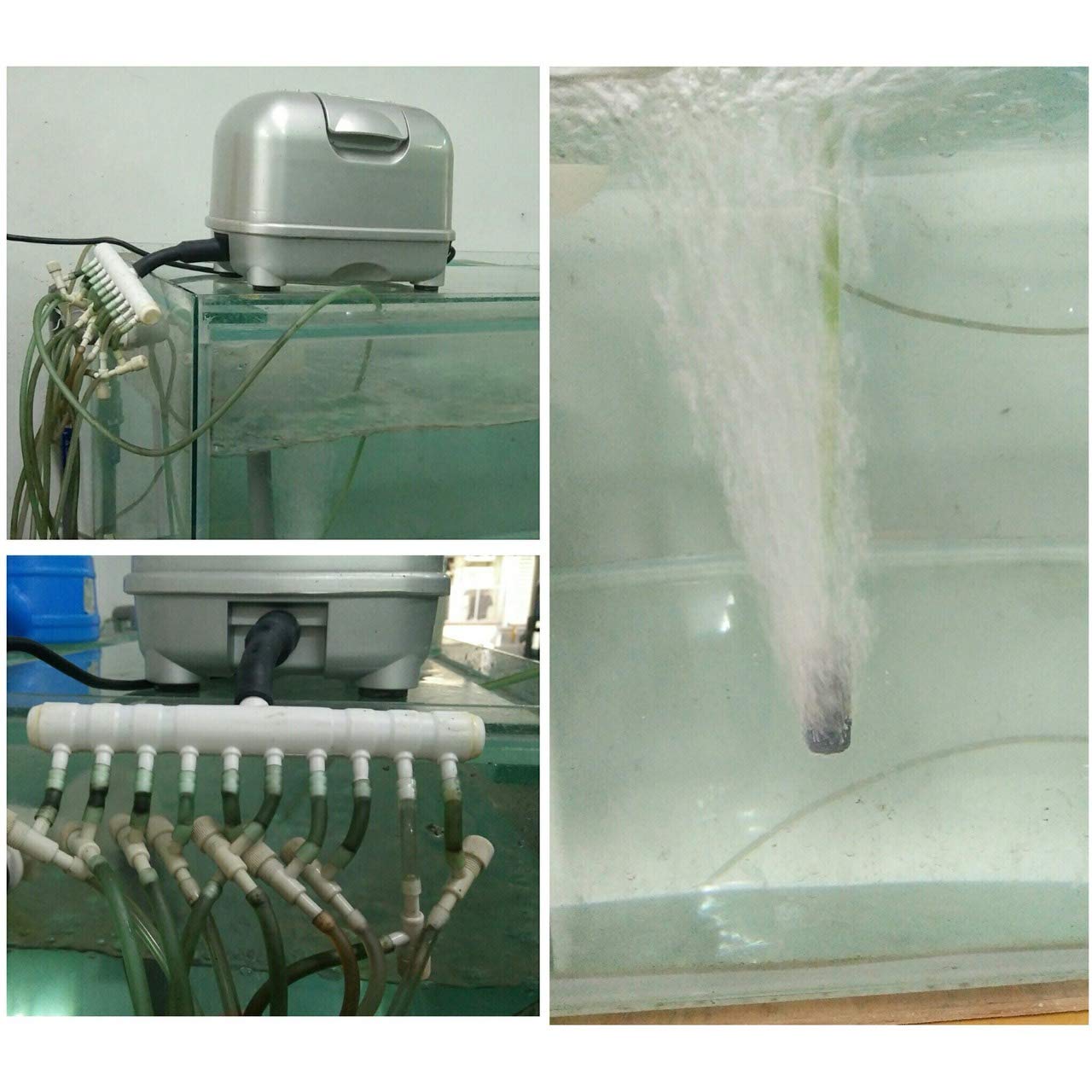 Aquarium Air Flow Control Valve/Fish Oxygen Air Line Tubing Flow Control Valve Pump Accessories