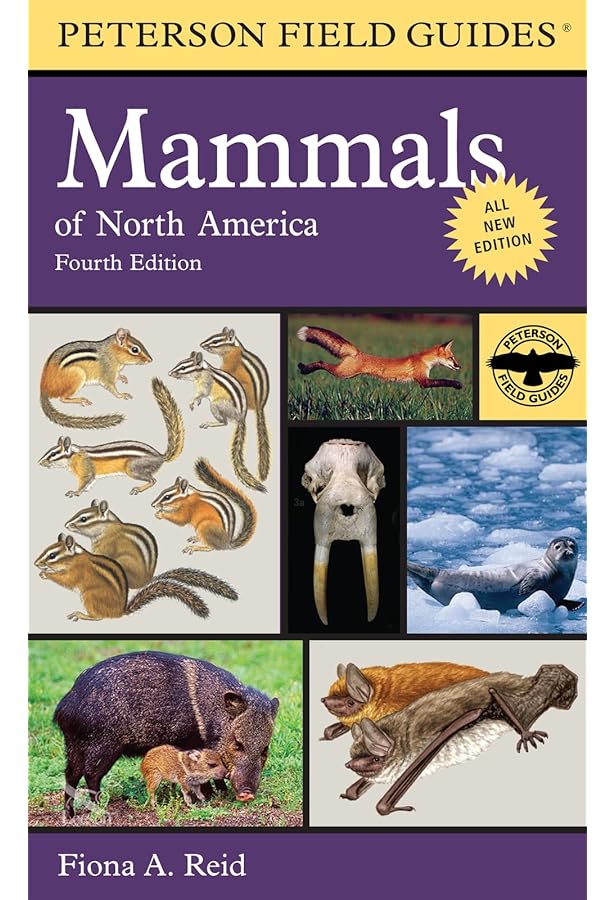 Kaufman Field Guide to Mammals of North America: Kaufman