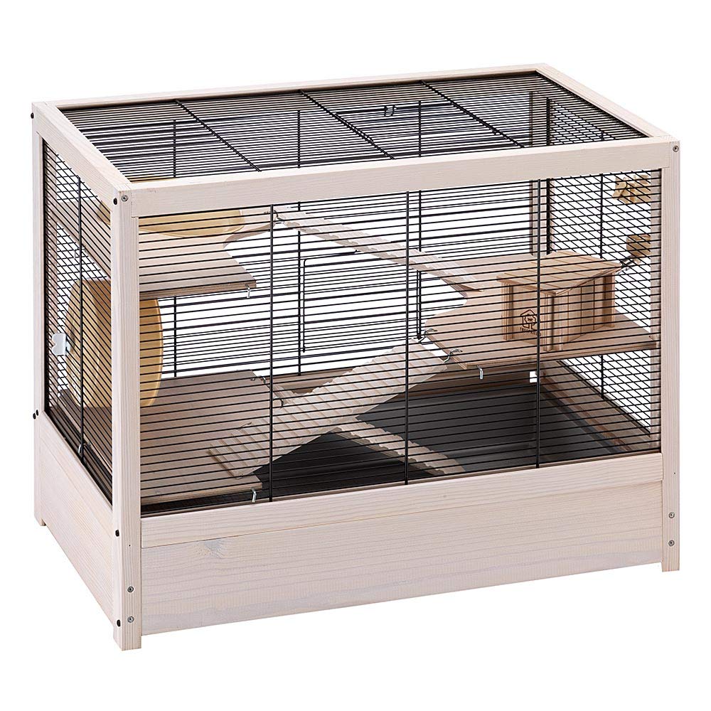 https://images-na.ssl-images-amazon.com/images/I/71lNYUU8WhL.jpg