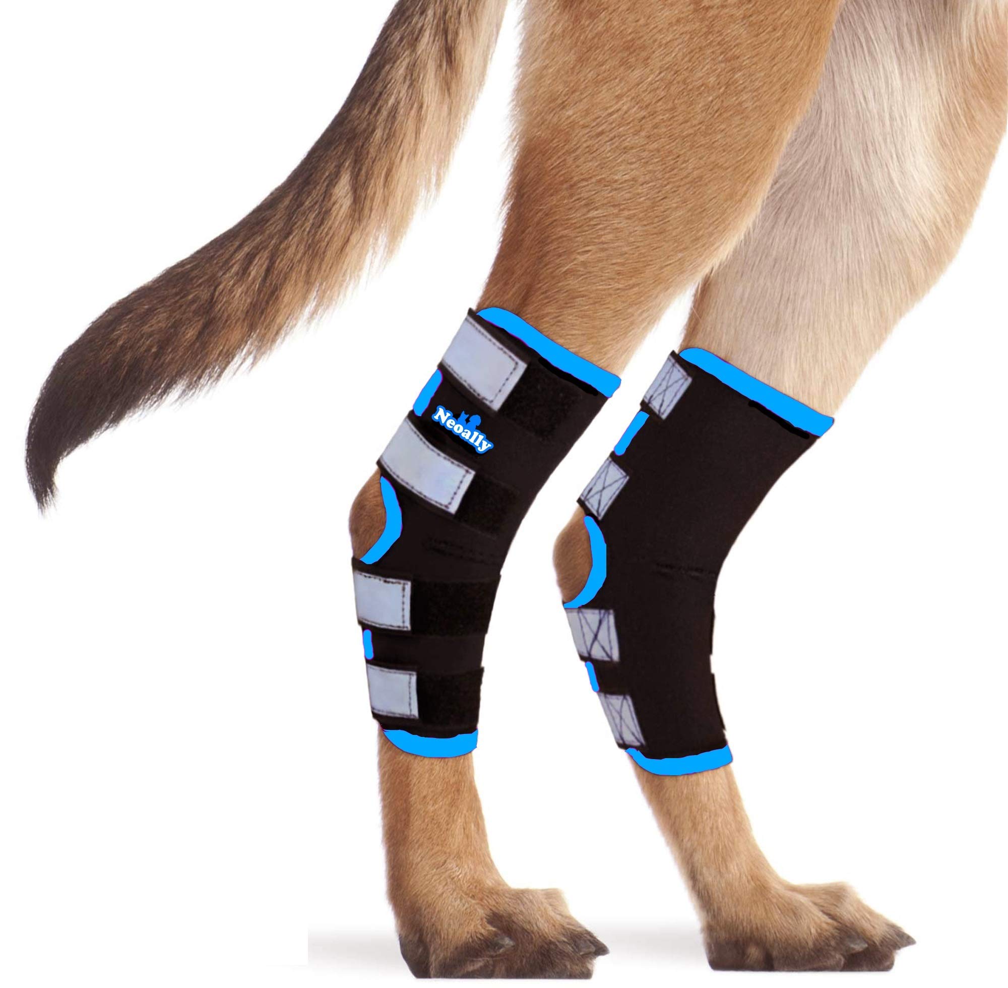 Buy NeoAlly Dog Rear Leg Brace Long Version Canine Hock Wraps with