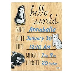 Cohas Hello World Newborn Baby Announcement Printed