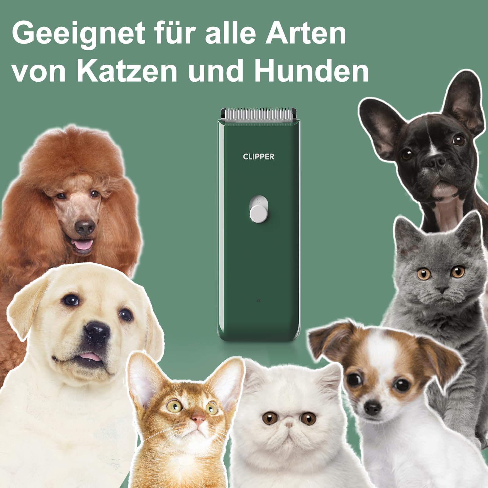 ENSSU Hundeschermaschine, kabelloses, wiederaufladbares Hundepflege-Set Katzenhaarschneidemaschine für verfilzte Haare, Tierhaarschneidemaschine Haustier-Rasierer für Katze/Hund/Kätzchen/Welpe,Grün 3