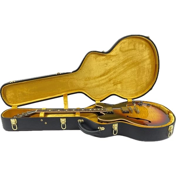 Amazon.com: Gibson ES-335 Hardshell Case Modern, Black : Musical