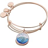 Alex and Ani Tortola Charm Bangle