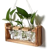 Glass Plant Propagation Station Butterfly Planter Vase with Wooden Stand Birthday Gifts for Women Mom Plant Lovers Office Home Decoration