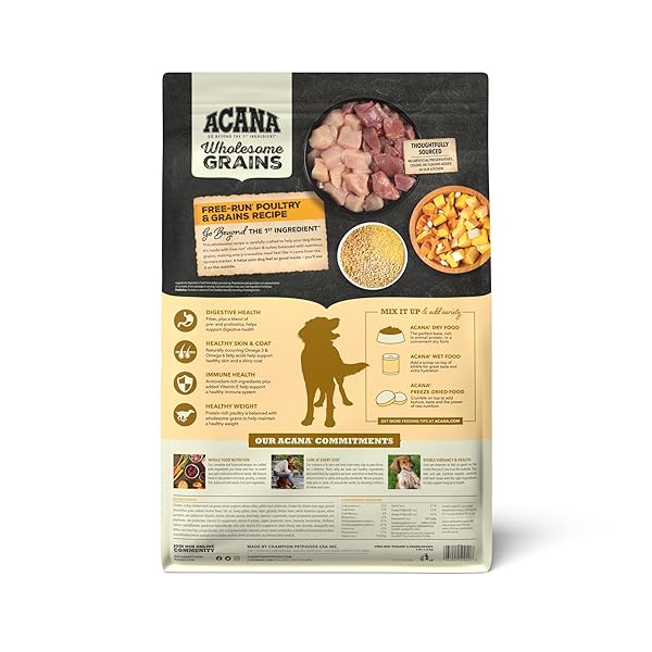 ACANA WHOLESOME GRAINS DRY DOG FOOD FREE-RUN POULTRY & GRAINS RECIPE WITH CAGE-FREE EGGS 4LB BAG