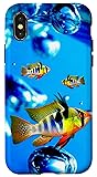iPhone X/XS German Blue Ram Cichlids Under Aquarium