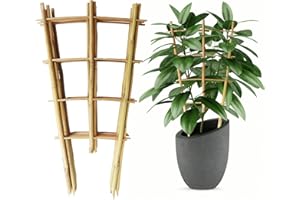 Hanaruer 6 Pack Bamboo Trellis, 16 Inch Fan-Shaped Plant Support Trellis, Garden Ladder Trellis with Twist Ties for Indoor, Mini Climbing Plants Hoya Potted Plants House Plants Monstera Vine Ivy