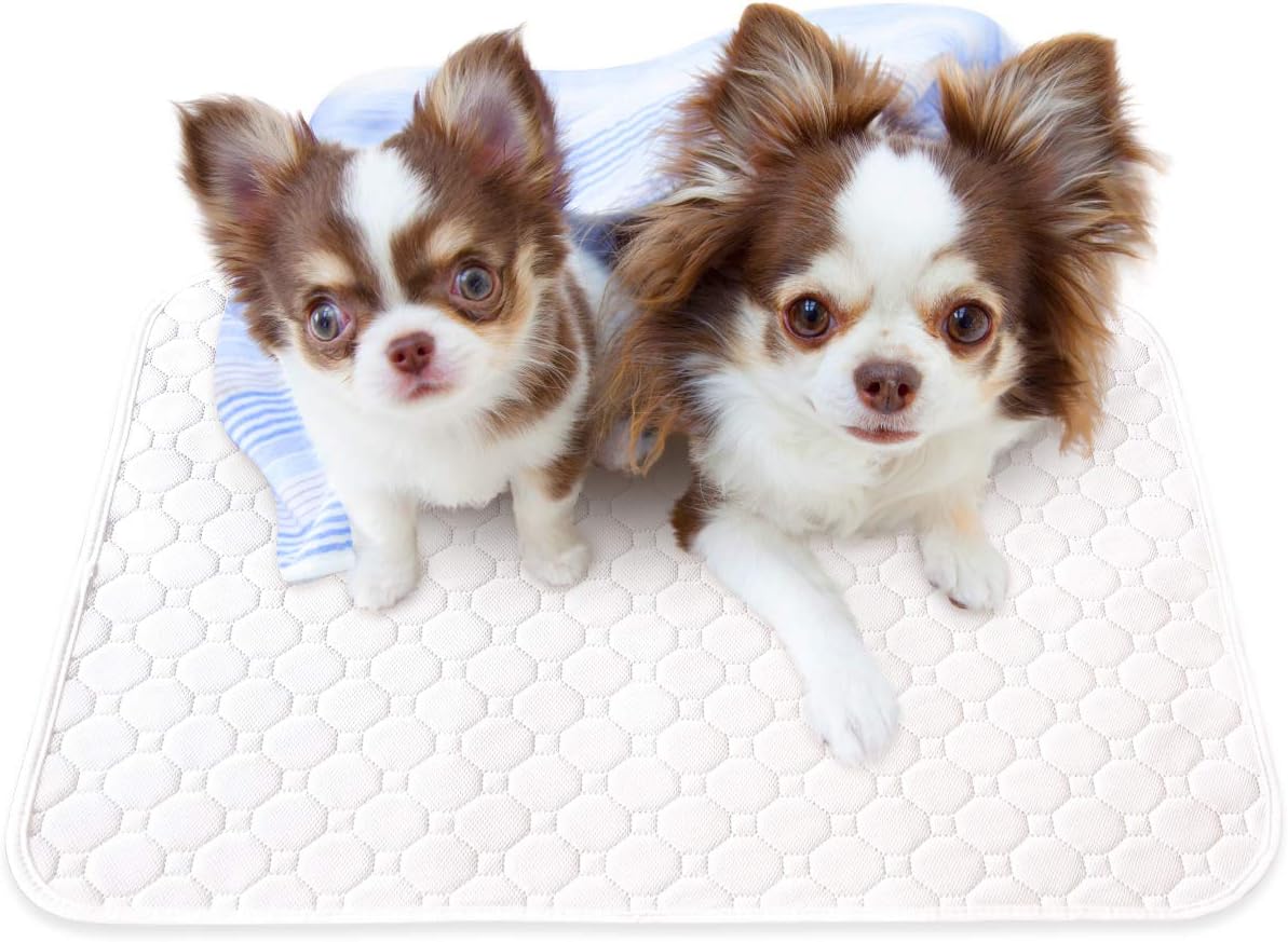 Amazon Inulabo イヌラボ 健康状態の変化に気づける ペット用 おしっこマット ペットマット 丸ごと洗える 繰り返し使える S 2枚セット Inulabo パッド 床保護シート 通販