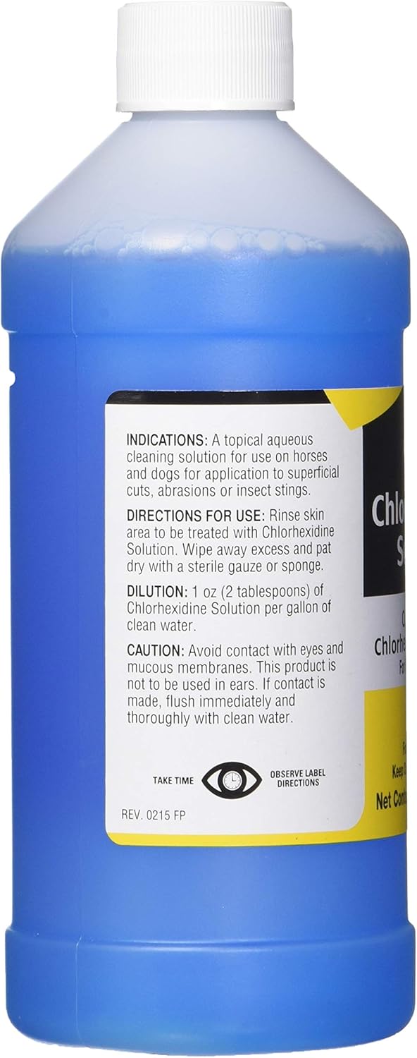 Durvet B000HHSD8M n Chlorhexidine 2% Solution, 16 fl. oz : Pet Medications : Garden & Outdoor